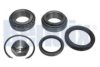 DAIHA 9004311251 Wheel Bearing Kit